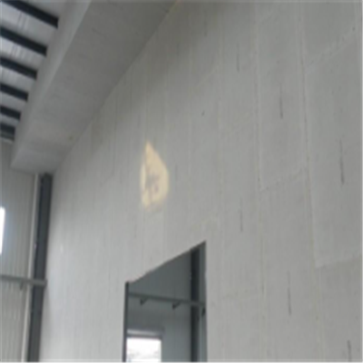 琼海宁波ALC板|EPS加气板隔墙与混凝土整浇联接的实验研讨